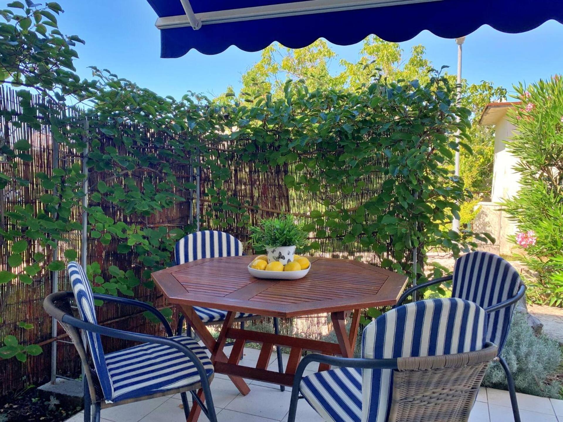 Apartments Savic سيلو المظهر الخارجي الصورة